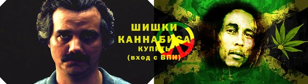 ПСИЛОЦИБИНОВЫЕ ГРИБЫ Бронницы