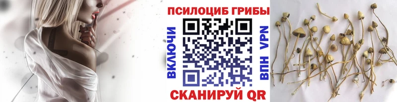 Галлюциногенные грибы мухоморы  Киренск 